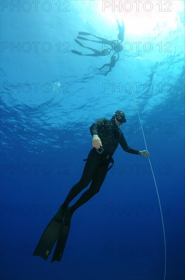 Freediving in the Red Sea