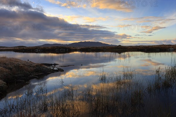 Irish landscape