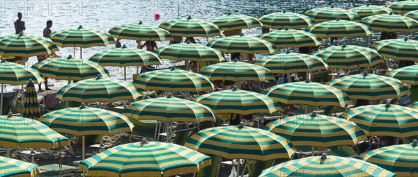 Rows of parasols on the beach