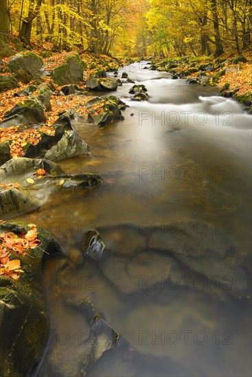 Schwarza River in the autumn