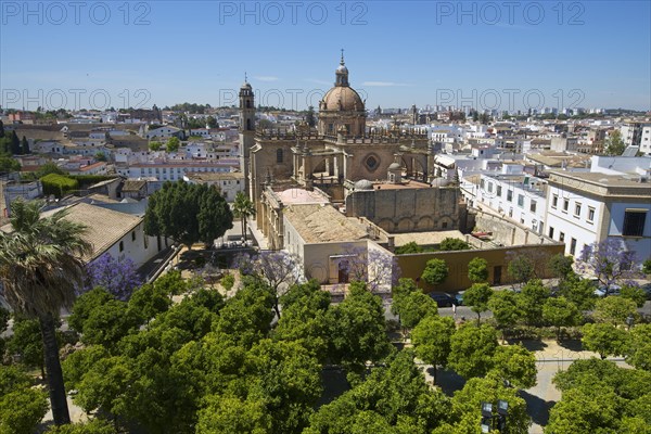 Cathedral La Colegiata del Salvador