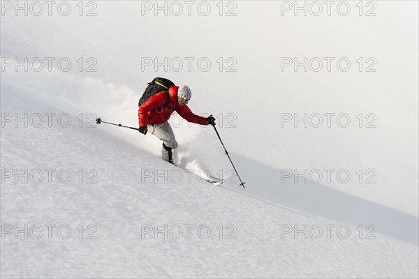 Skier in powder snow