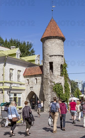 Viru gate with city walls in the old town