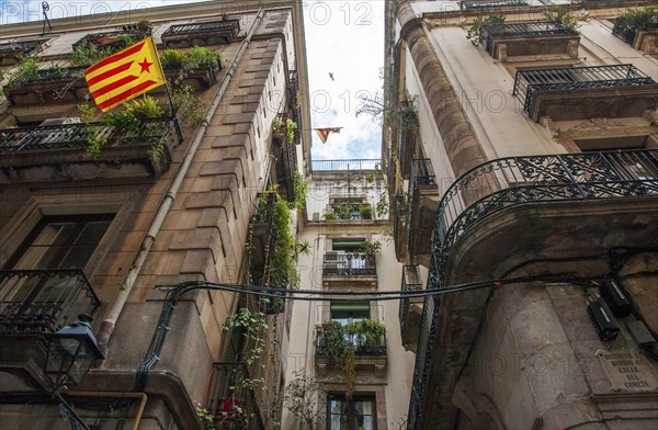 Catalan flags in the Gothic Quarter of Barcelona