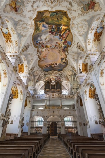 Frescoed ceilings and organ loft