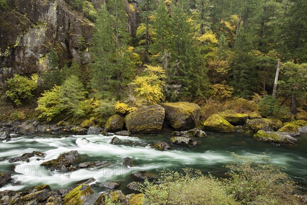 North Umqua River in autumn