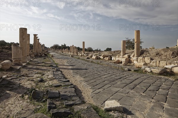 Paved axis road