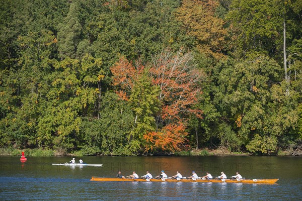 Canoeists on the Griebnitzsee