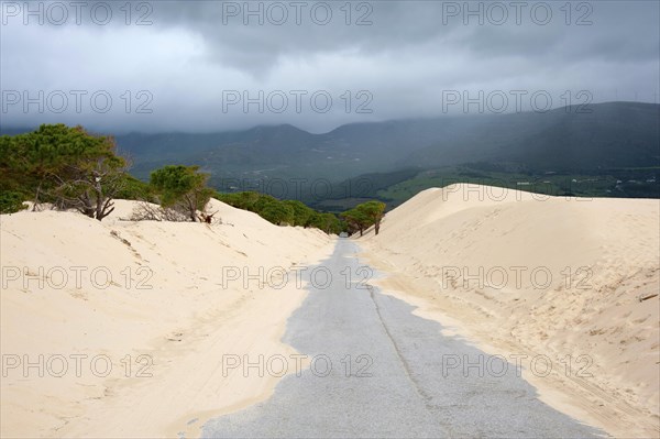 Wandering dune of Bolonia