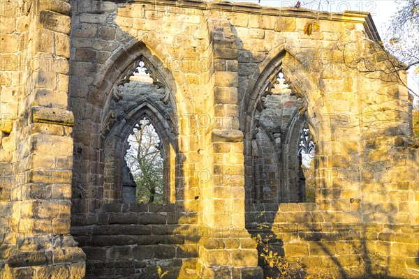 Romantic ruins of the monastery church on Mount Oybin