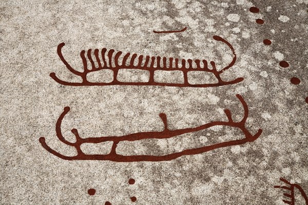 Rock carvings