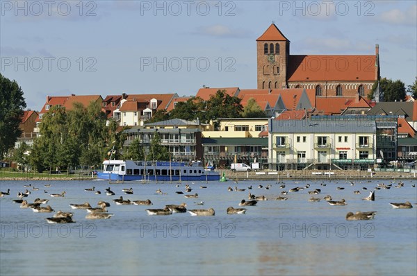 City harbour of Waren an der Muritz