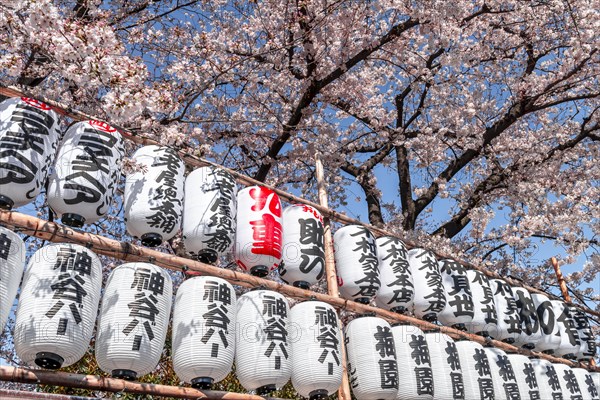 Lanterns with Japanese characters