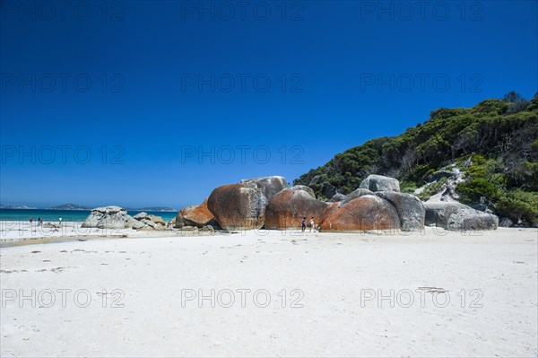 Norman Beach