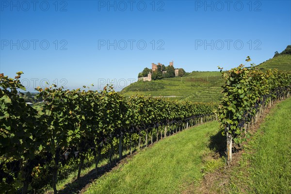 Schloss Ortenberg castle