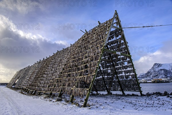 Stockfish on a stand