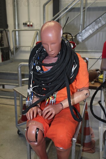 Crash test dummy