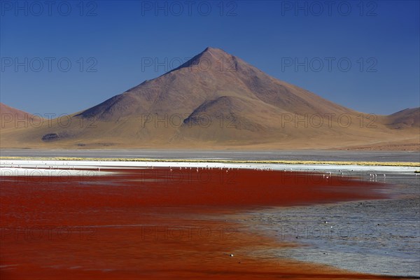 Laguna Colorada