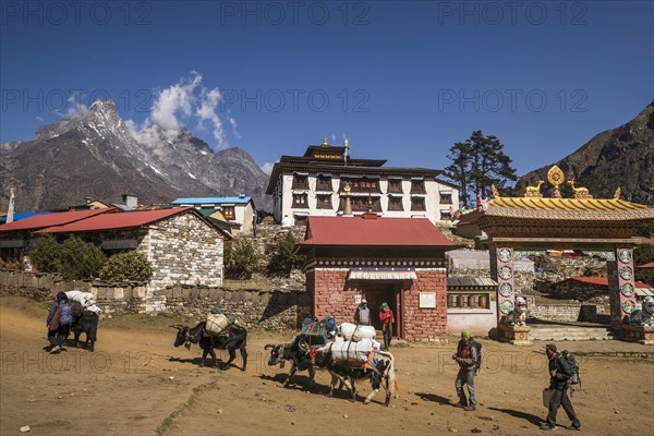 Laden yaks and Sherpas in front of the Tengboche Monastery