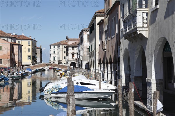 Canale della Vena