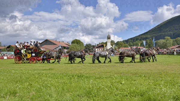 Ten-horse carriage with Noric horses from Abtenau in Salzburger Land