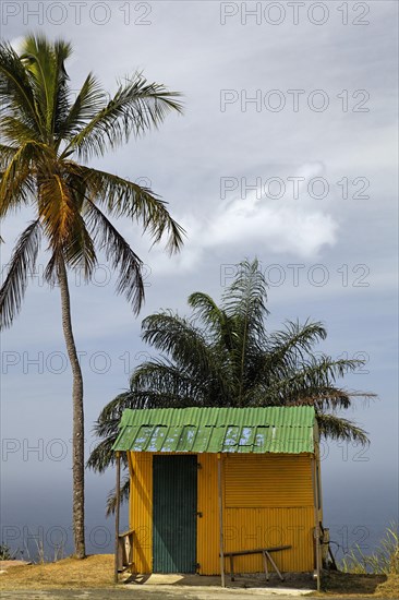 Small yellow hut with green tin roof