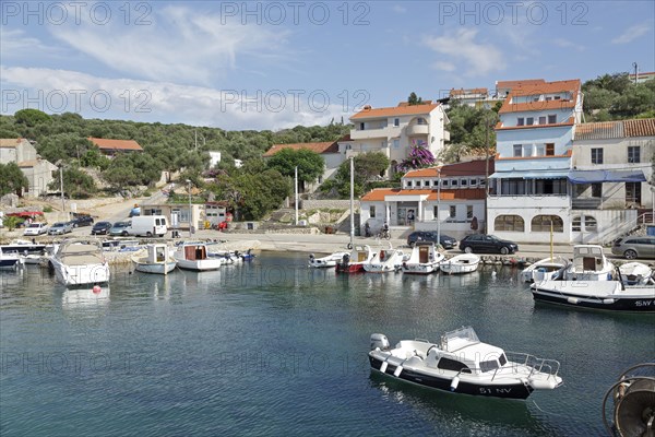 Boats in the harbour