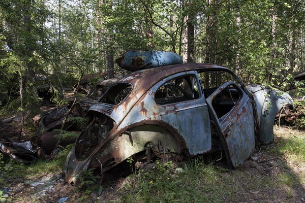 Auto graveyard in the forest