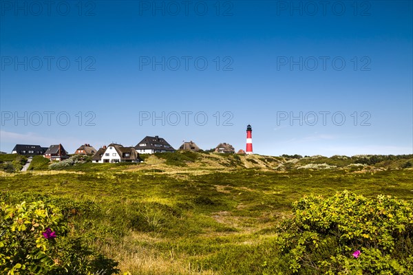 Frisian houses and lighthouse Hornum