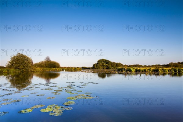 Water at Worpswede