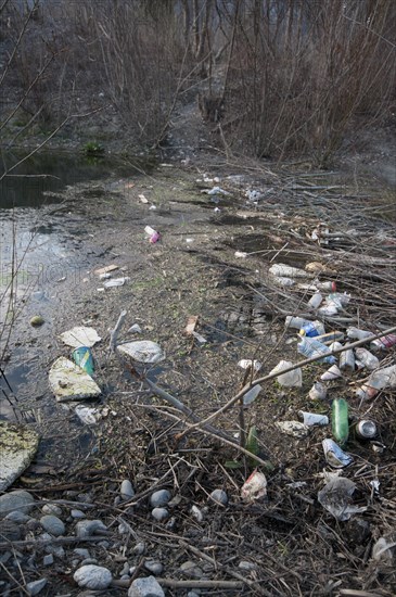 Polluted beaver dam