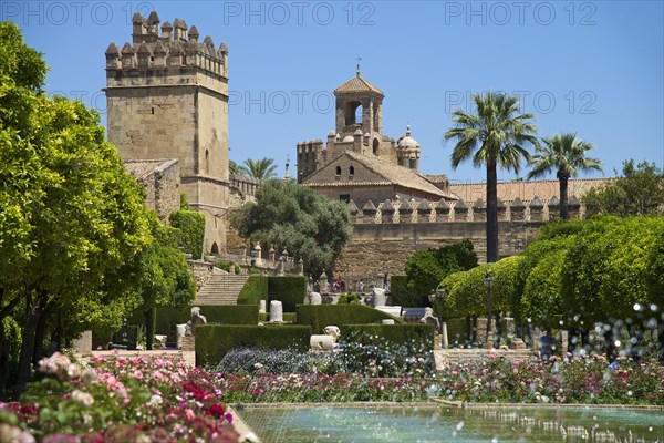 Garden in the Alcazar de los Reyes Cristianos