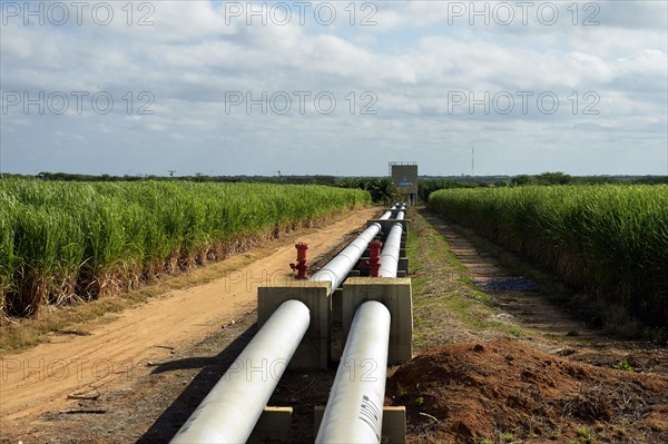 Irrigated sugar cane plantation