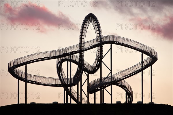 Landmark Tiger & Turtle - Magic Mountain