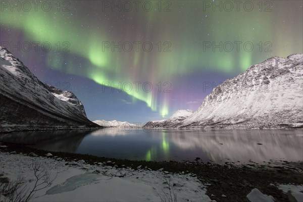 Aurora over the Grotfjord