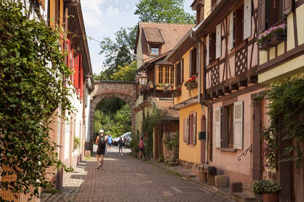 Alley in the old town