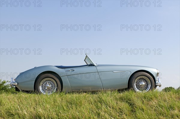 Austin-Healey 3000