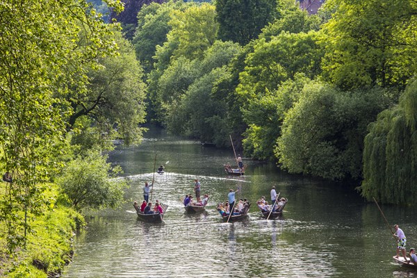 Punts on the Neckar River near Tubingen