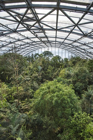 Masoala hall or Masoala kely