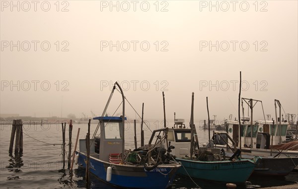 Fishing boats in the fishing port of Goro