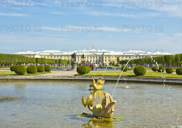 Fountain with golden fish