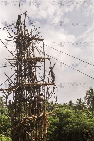 Land diver preparing to jump