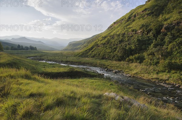 Grass landscape with a river