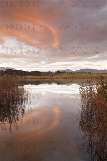 Sunrise at Froschhausersee lake