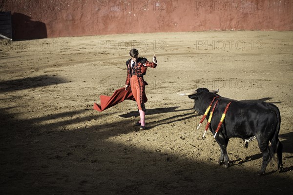 Bullfighter