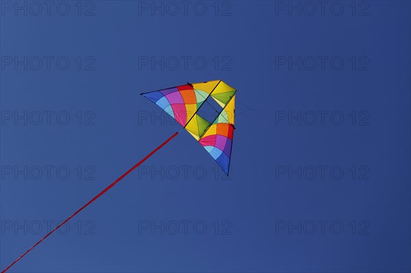 Kite