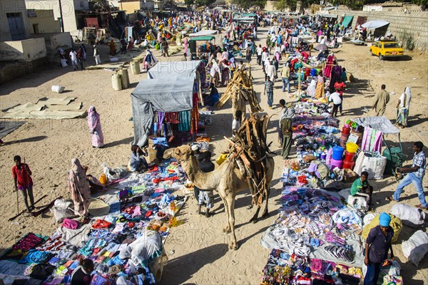 Loaded camel walking through the colourful Monday market of Keren