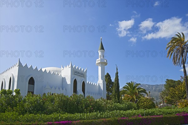 Abdul Aziz Al Saud mosque