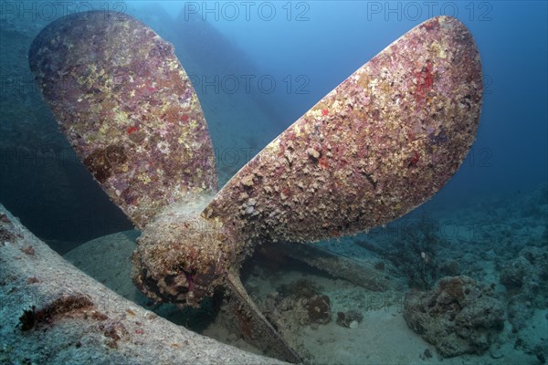 Propeller