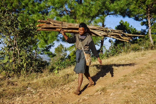 Man collecting firewood